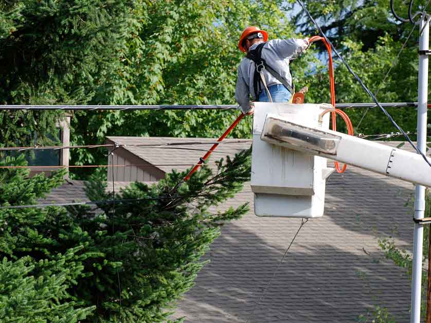 4 Ways Trees Can Damage Your Roof and Home