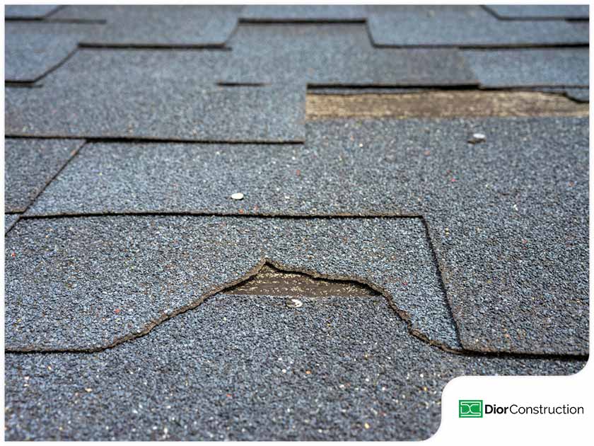 The Difference Between Shingle Cracking and Splitting